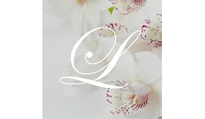 17.webp
